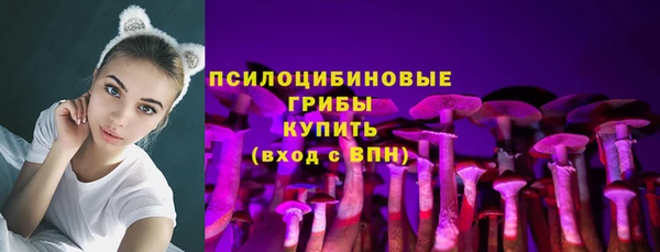 2c-b Арсеньев