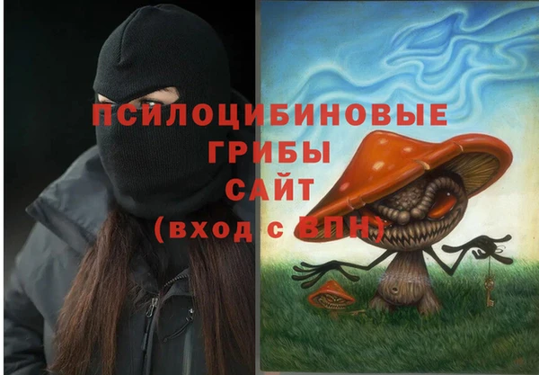 2c-b Арсеньев