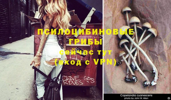 мет Аркадак