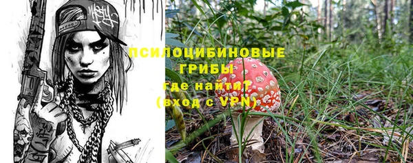 мет Аркадак