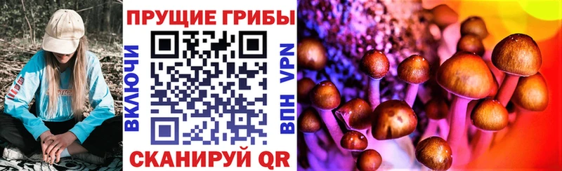 Галлюциногенные грибы мицелий  наркотики  Бакал 